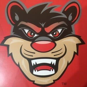 University of Cincinnati Bearcats Poster/Handout